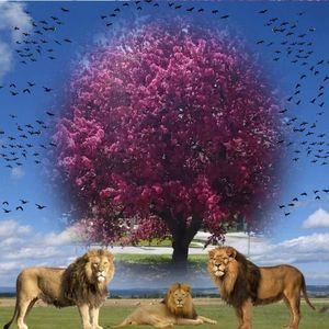 Meet your Posher, Marisol